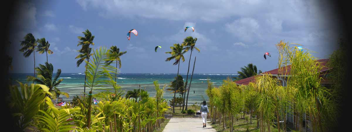 Vue vers la mer pour les bungalows du kitecamp Martinique