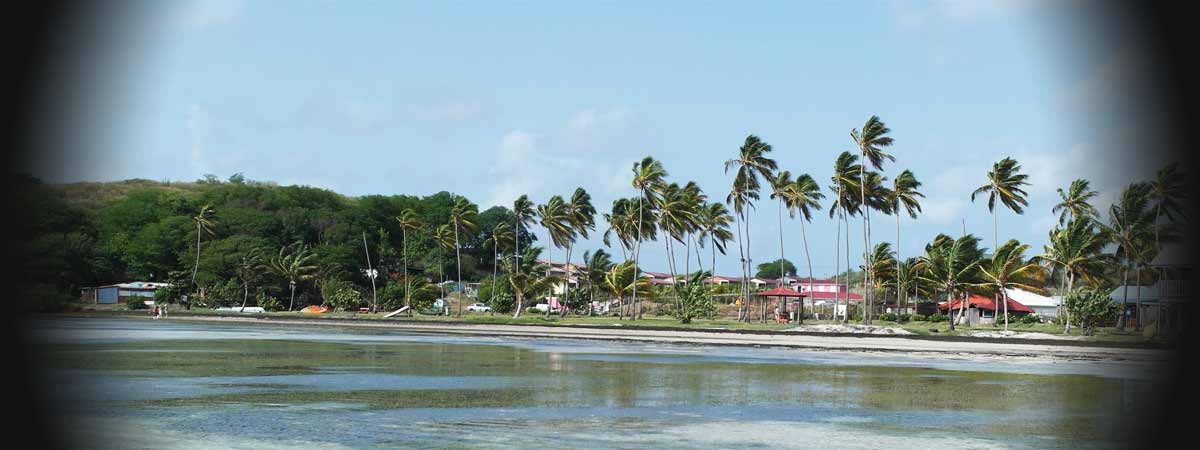 Location de bungalow à quelques mètres du spot de kite de la Pointe Faula Vauclin